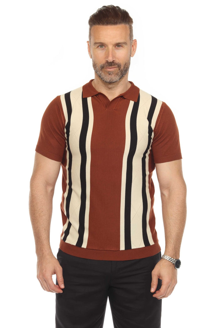 Knit Textured Polo Shirt with Color Stripe Pattern